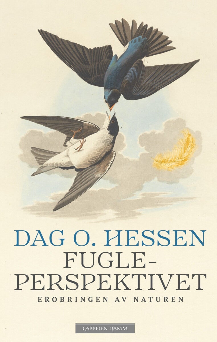 Fugleperspektivet