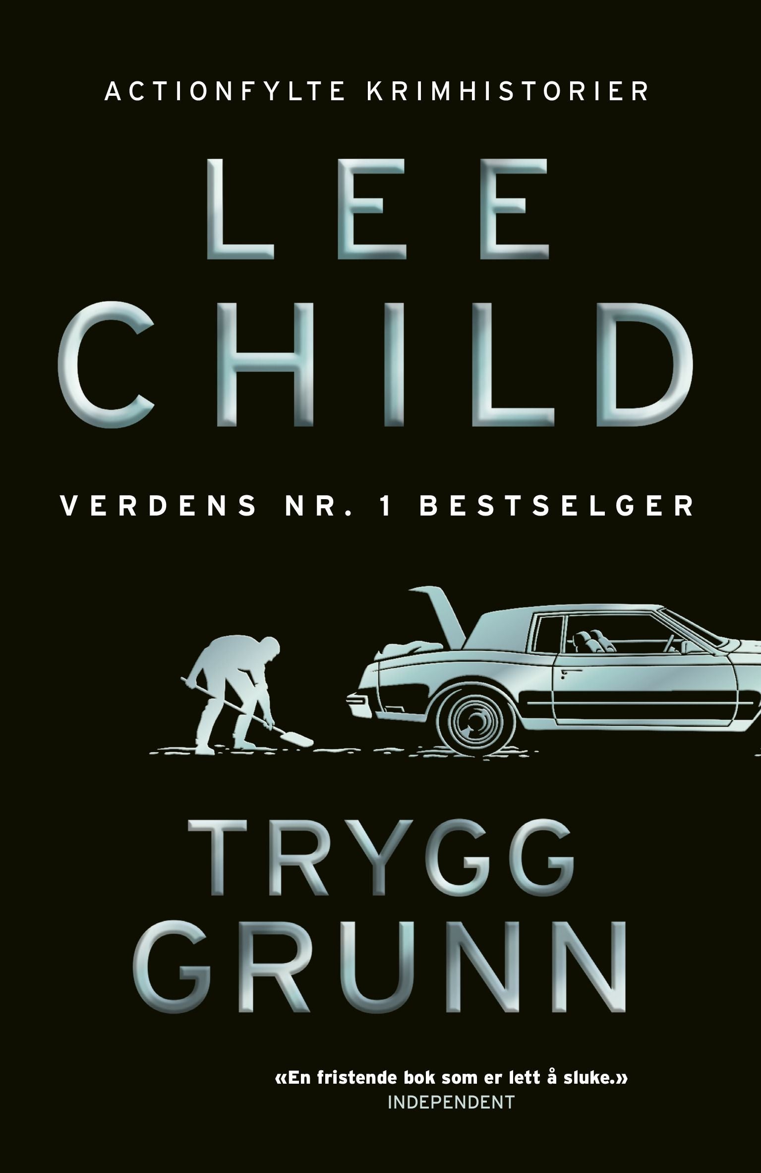 Trygg grunn - og andre historier