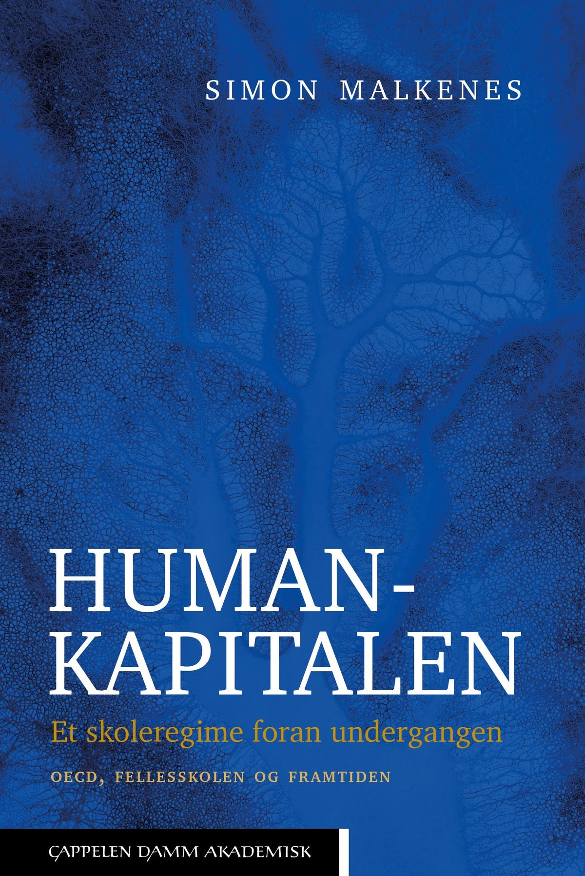 Humankapitalen - et skoleregime foran undergangen : OECD, fellesskolen og fremtiden