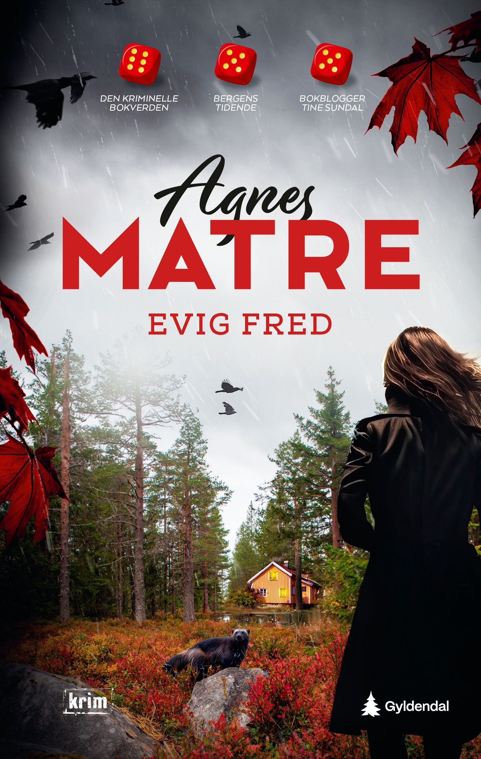Evig fred