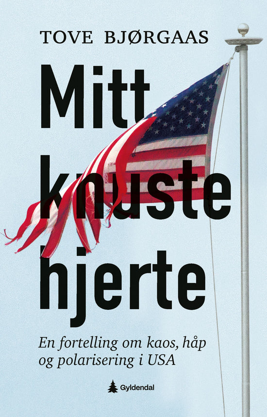 Mitt knuste hjerte - en fortelling om kaos, håp og polarisering i USA