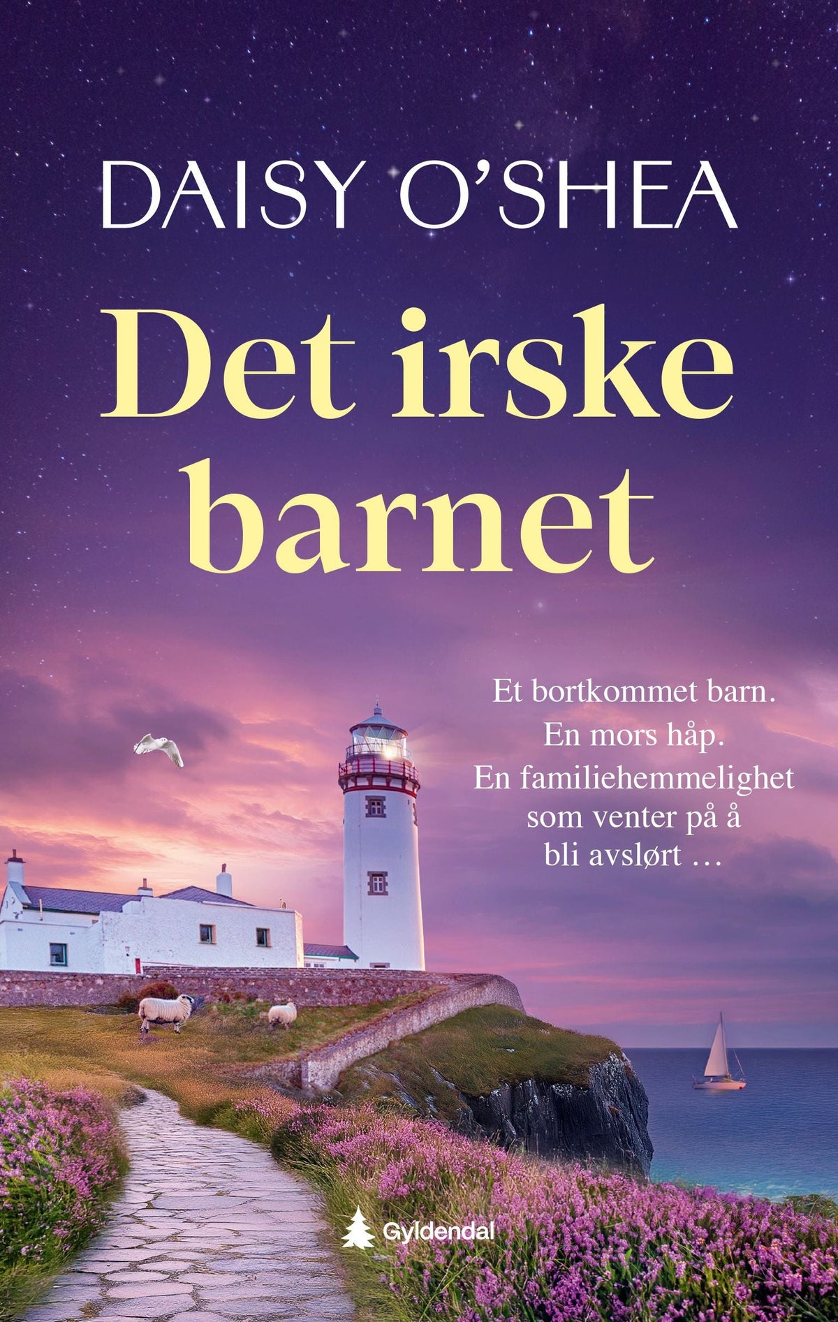 Det irske barnet