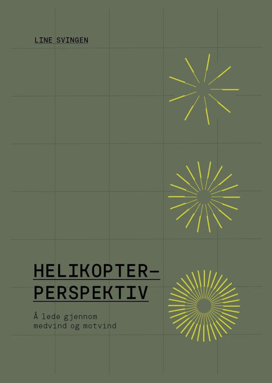 Helikopterperspektiv
