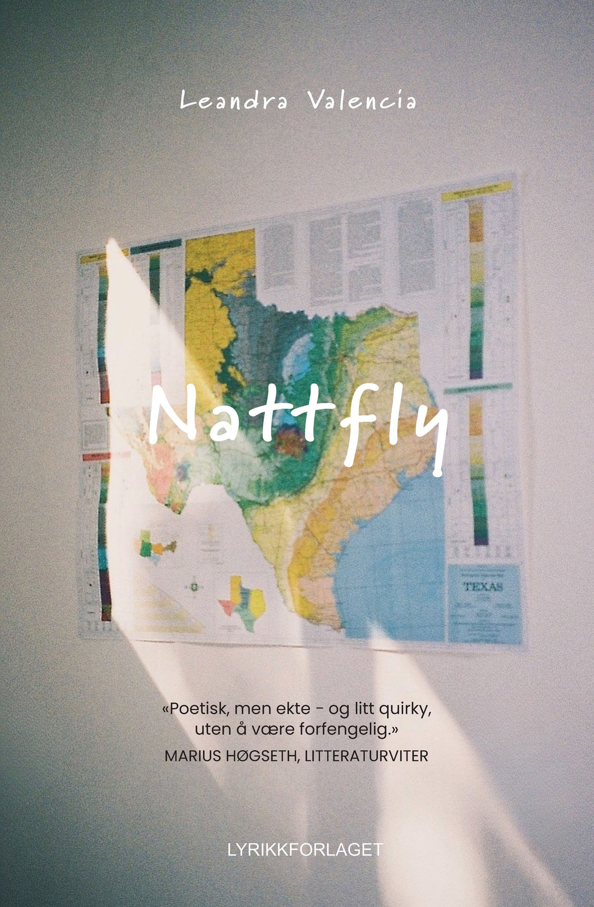 Nattfly