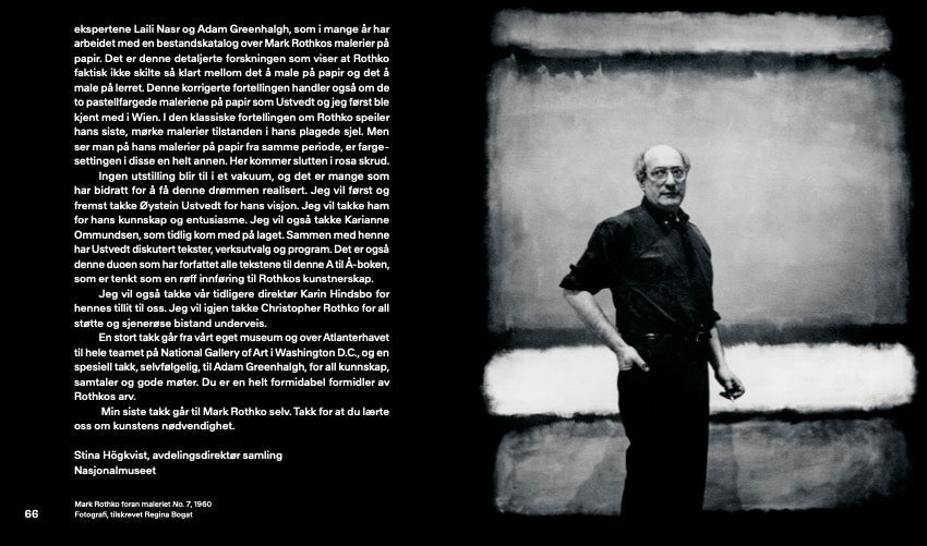 Mark Rothko en røff guide