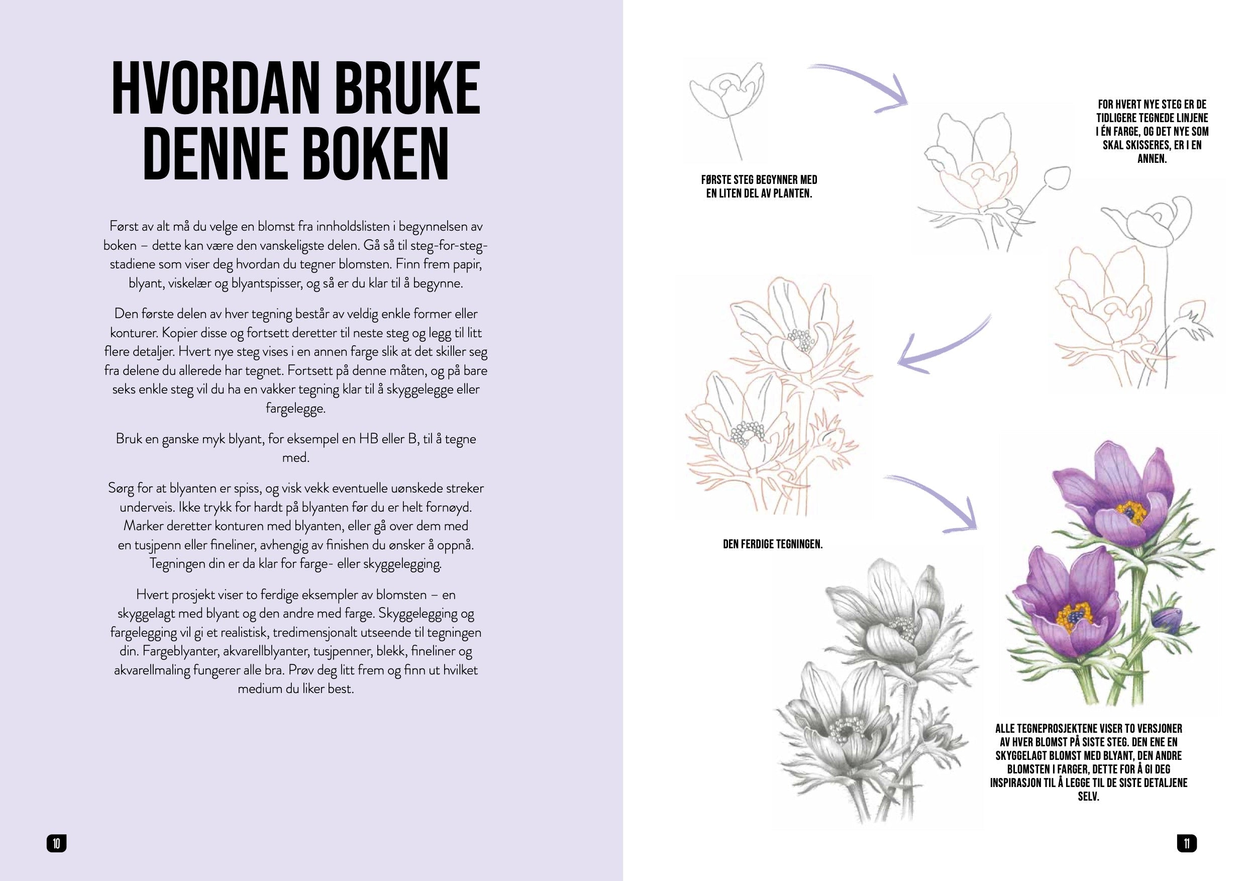 Hvordan tegne blomster steg for steg