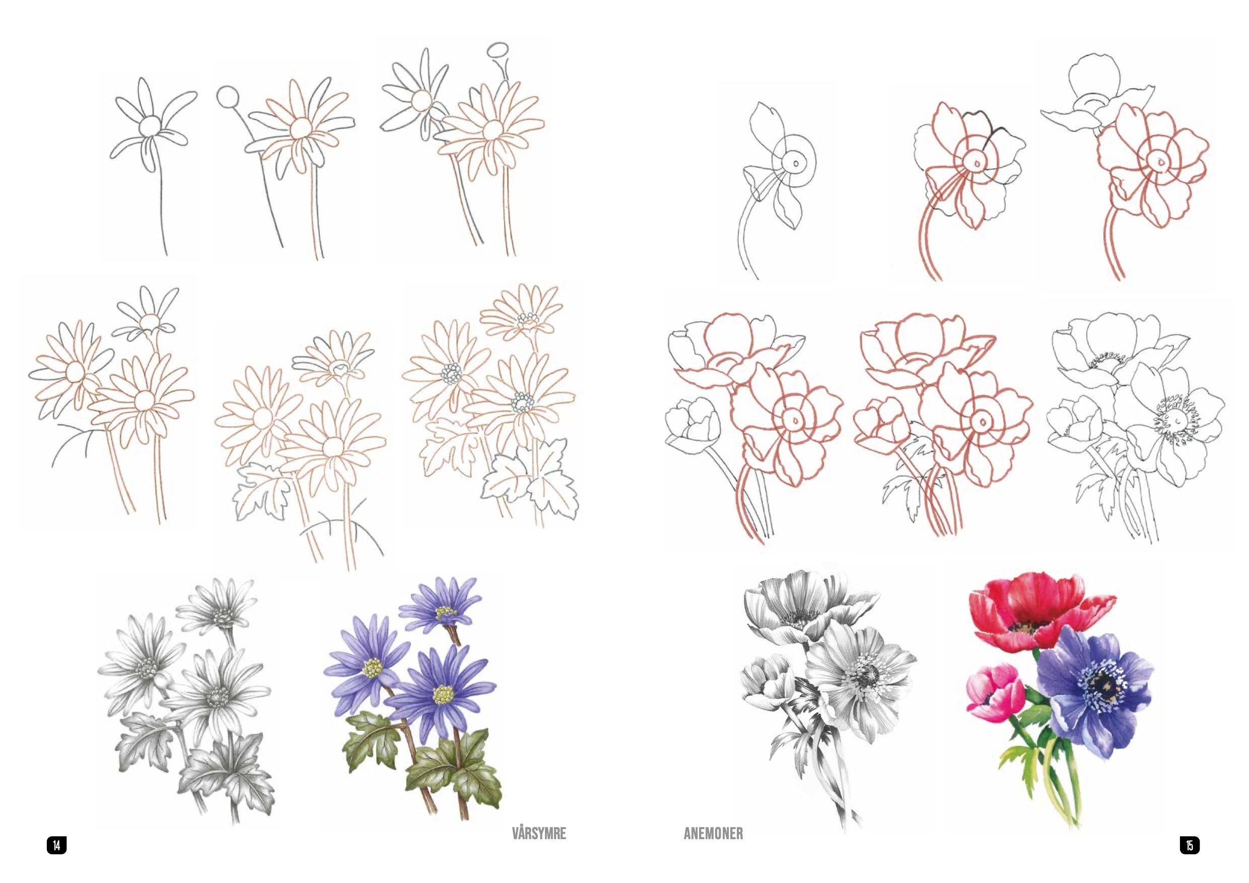 Hvordan tegne blomster steg for steg