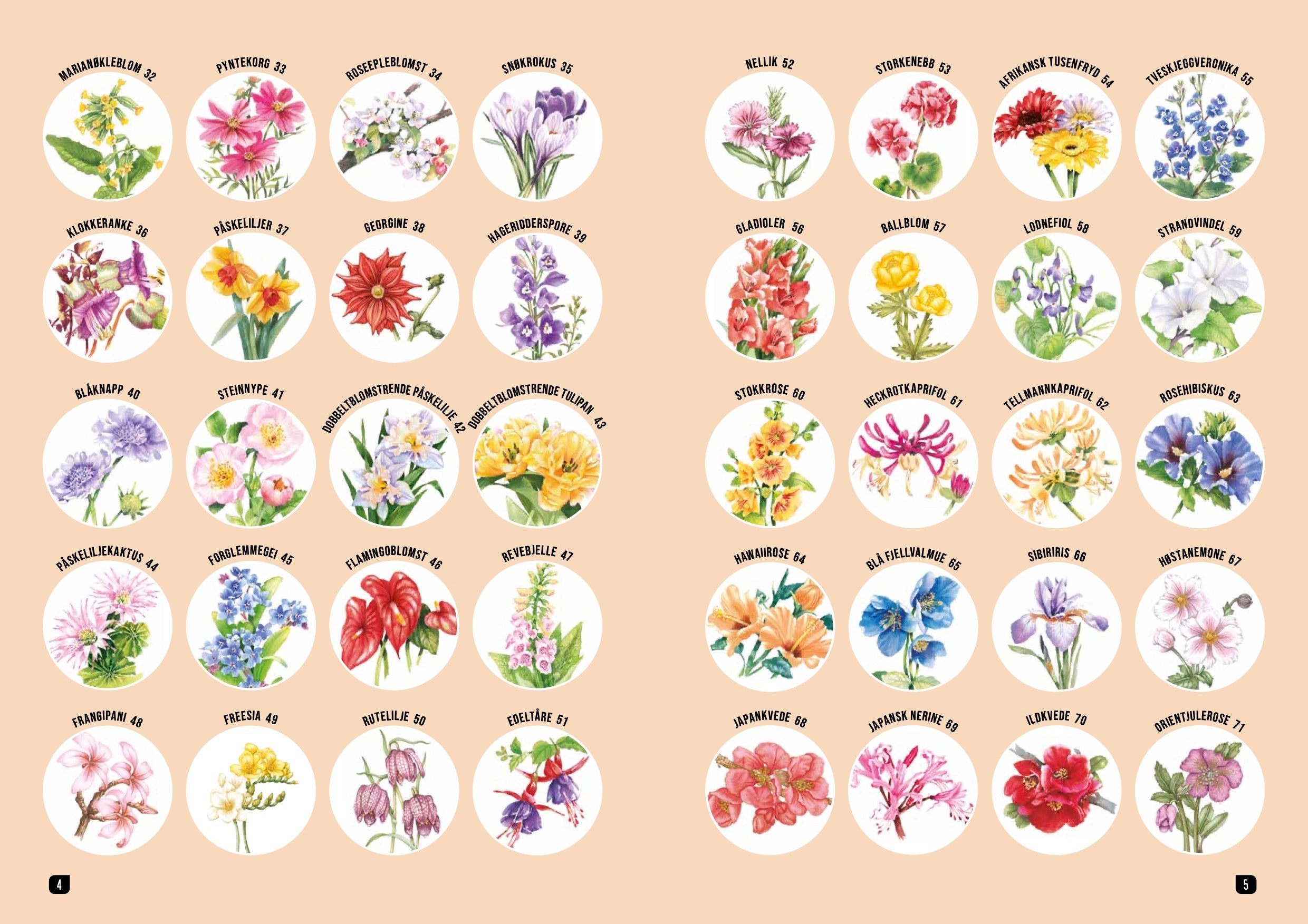 Hvordan tegne blomster steg for steg