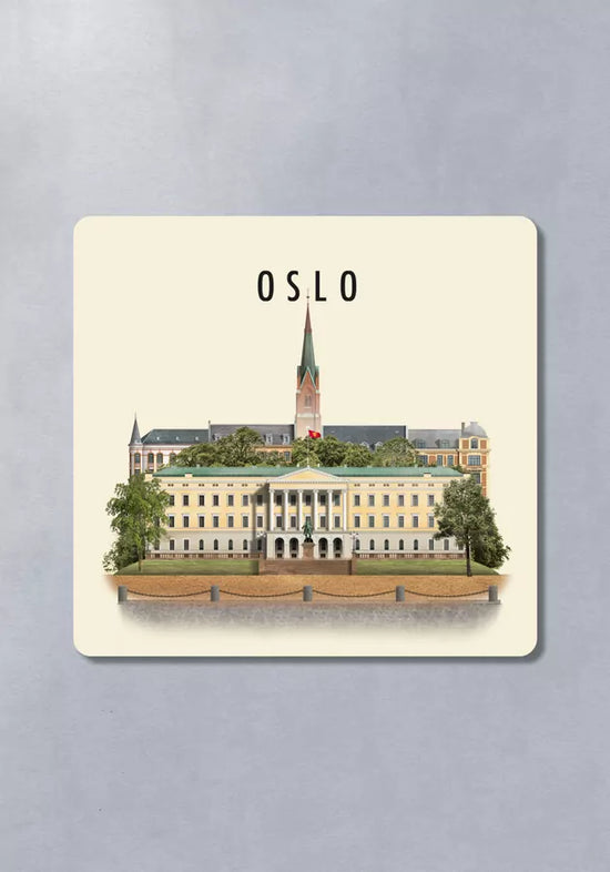 Oslo Coaster VIII