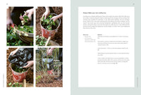 Sustainable Garden: Projects, insights and advice for the eco-conscious gardener