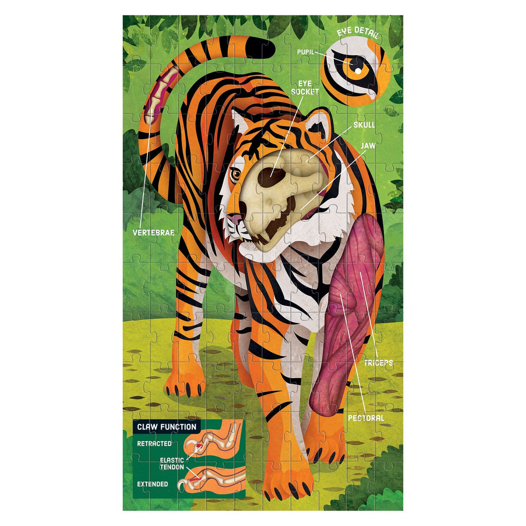 Animal Anatomy Science Puzzle Set