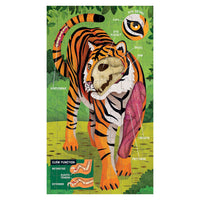 Animal Anatomy Science Puzzle Set