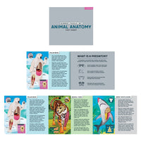Animal Anatomy Science Puzzle Set