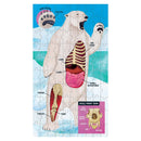 Animal Anatomy Science Puzzle Set