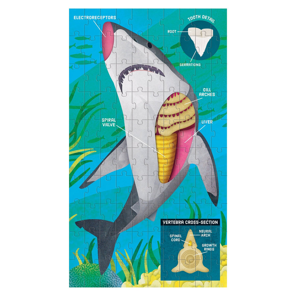 Animal Anatomy Science Puzzle Set