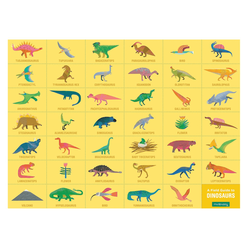 Dinosaurs Search & Find Puzzle
