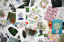 Flower Box Postcards: 100 Postcards by 10 artists