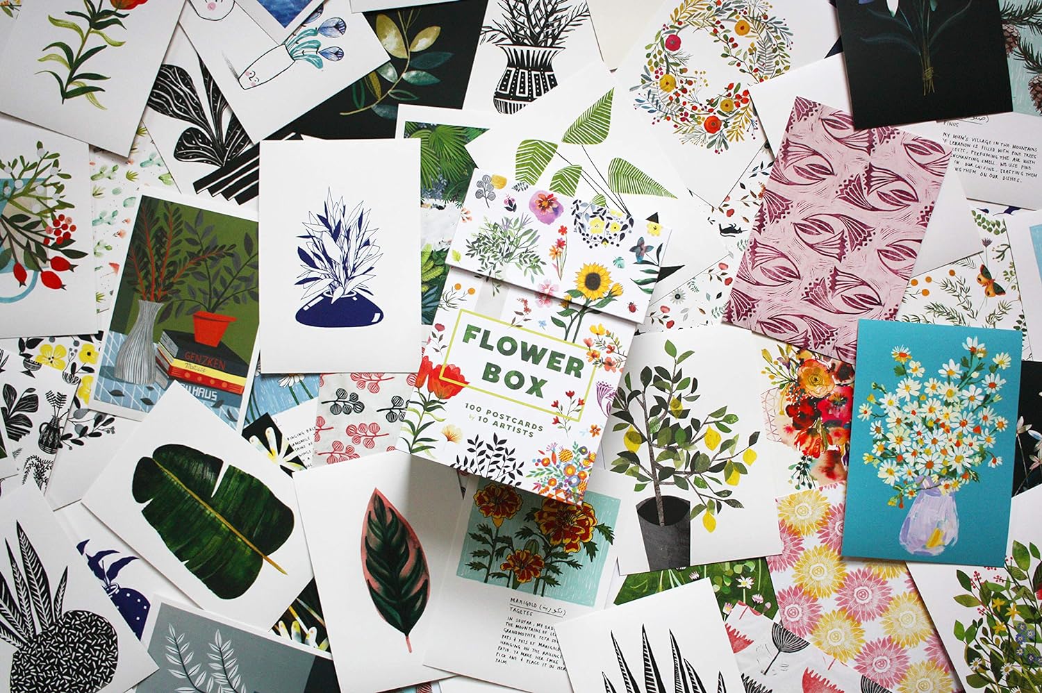 Flower Box Postcards: 100 Postcards by 10 artists