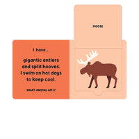 Forest Tracks: What Animal Am I? Lift-the-Flap Board Book
