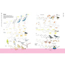 How to Draw Almost Everything: An Illustrated Sourcebook