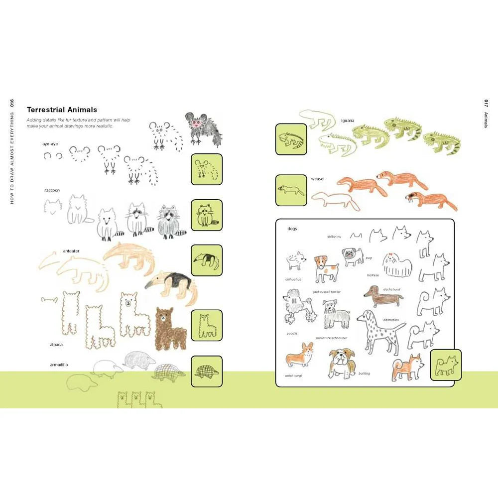 How to Draw Almost Everything: An Illustrated Sourcebook