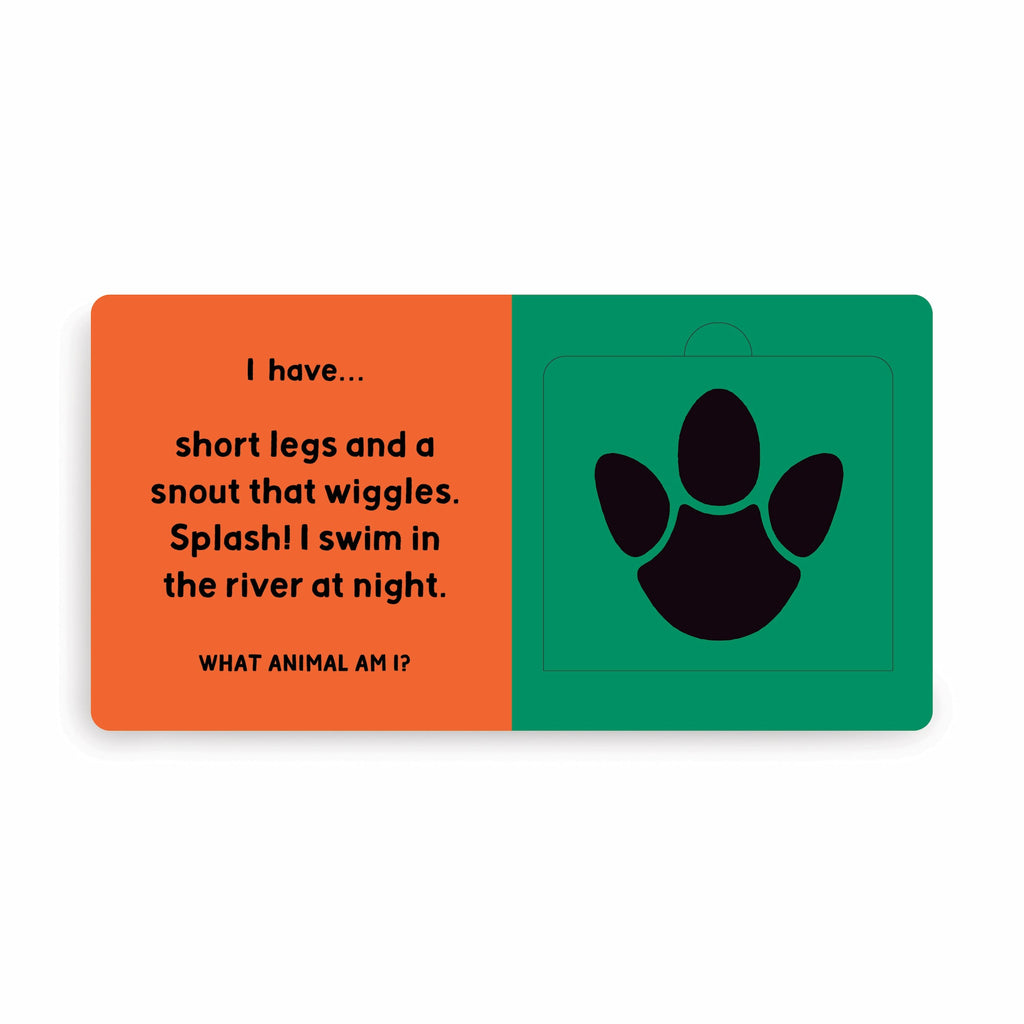 Jungle Tracks Lift-the-Flap Board Book