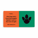 Jungle Tracks Lift-the-Flap Board Book