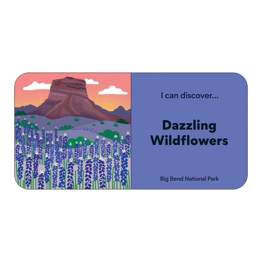 Little Park Ranger Board Book Set