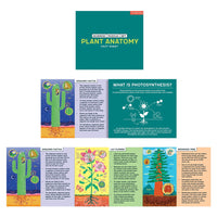 Plant Anatomy Science Puzzle Set