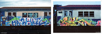 Spray Nation 1980s NYC Graffiti Photographs