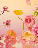 Still Life Notecards: 20 Notecards and Envelopes