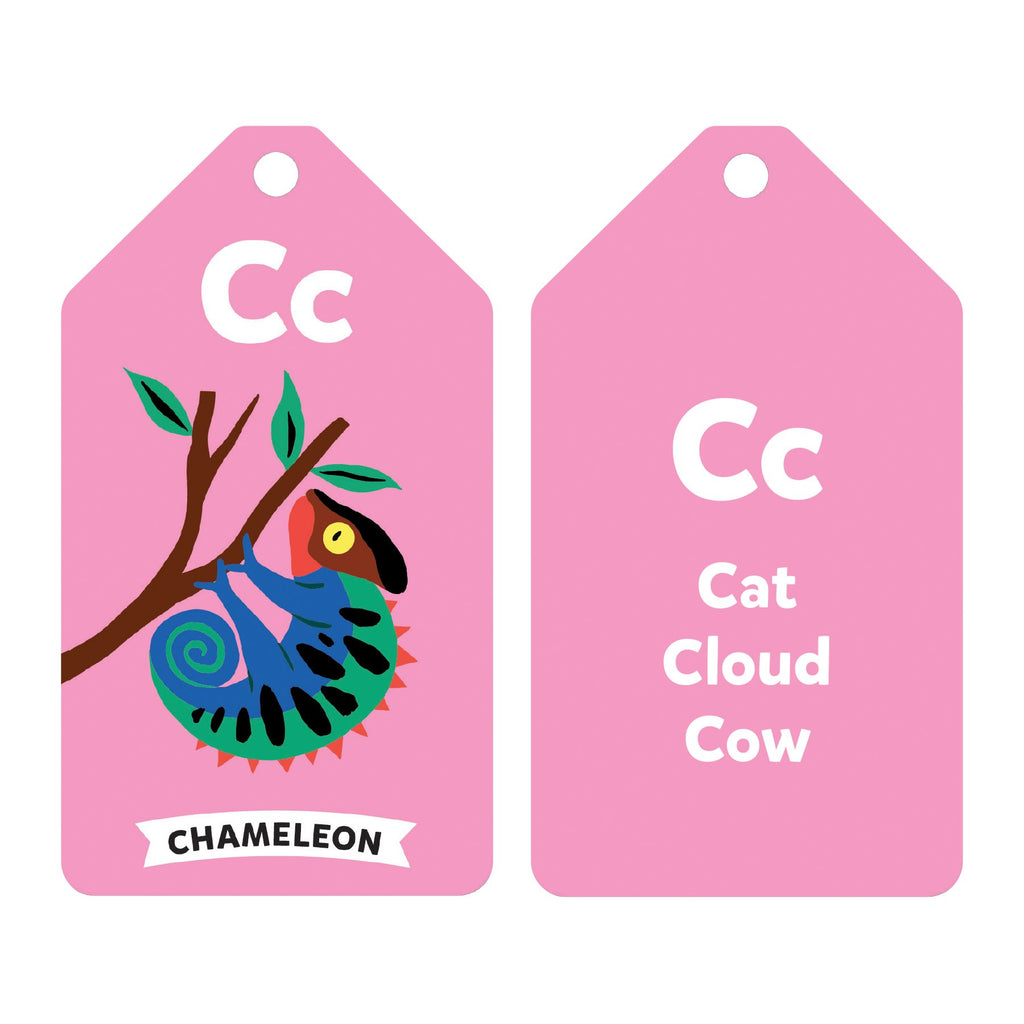 Wildlife ABCs Ring Flash Cards